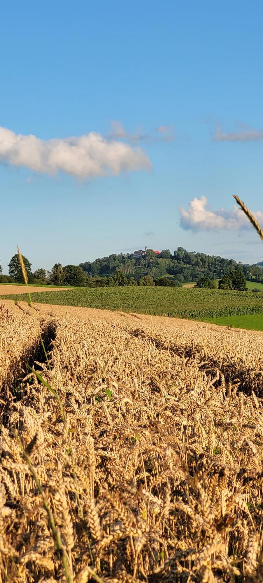 Ferienwohnung Bayerwaldblick Jandelsbrunn Extérieur photo