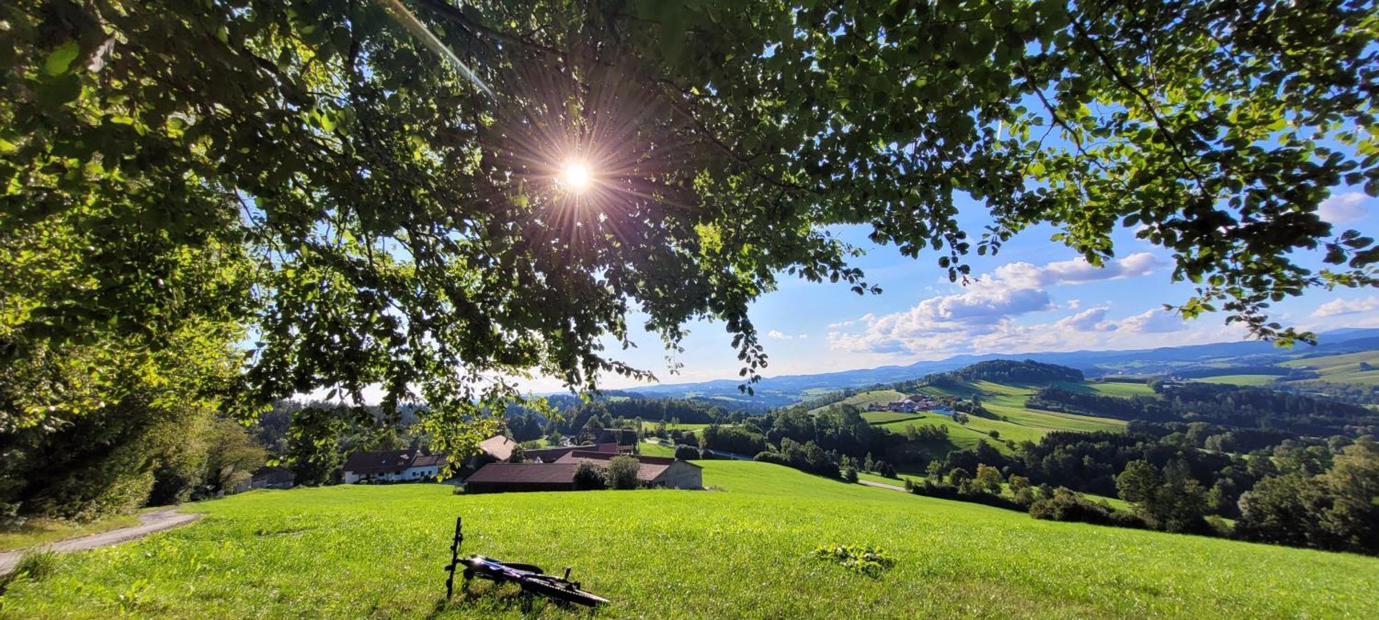 Ferienwohnung Bayerwaldblick Jandelsbrunn Extérieur photo