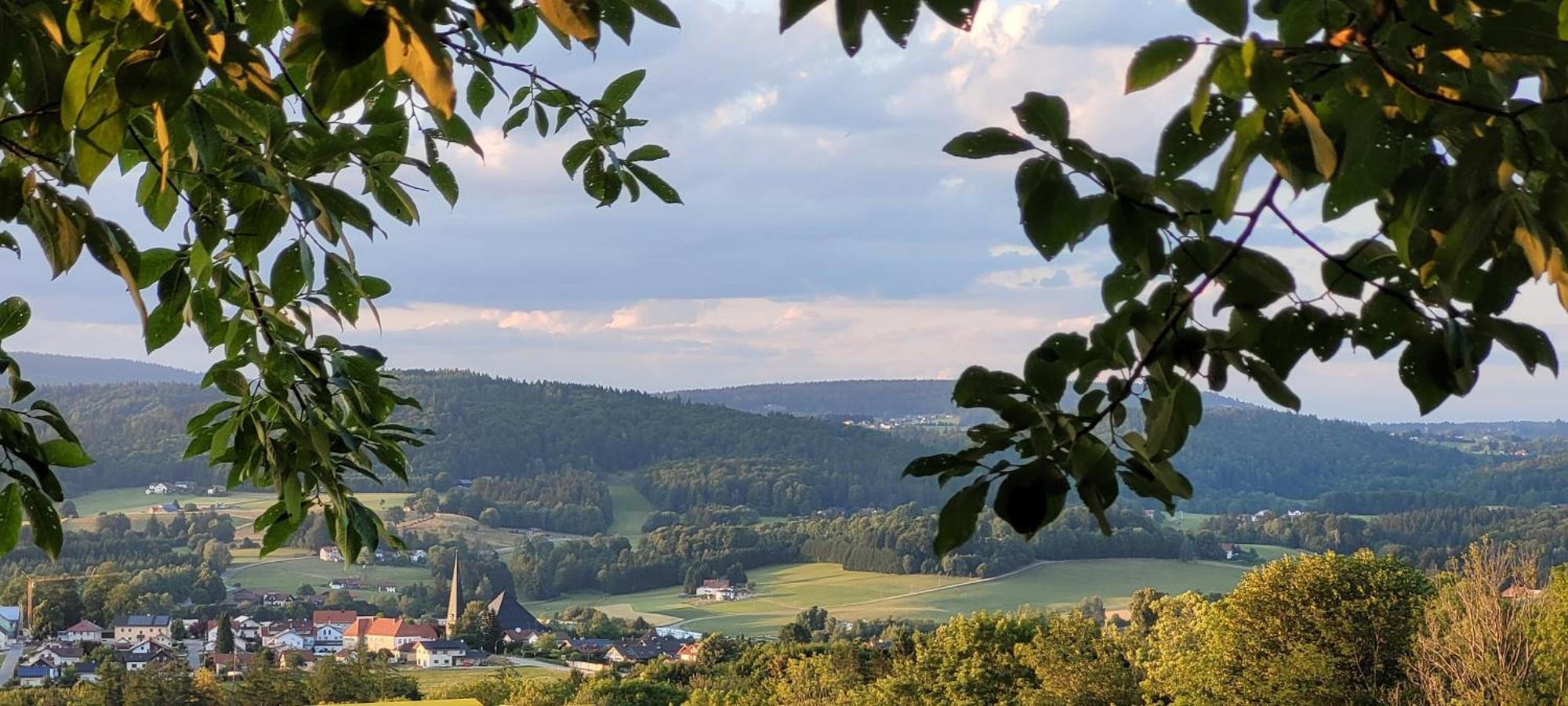 Ferienwohnung Bayerwaldblick Jandelsbrunn Extérieur photo