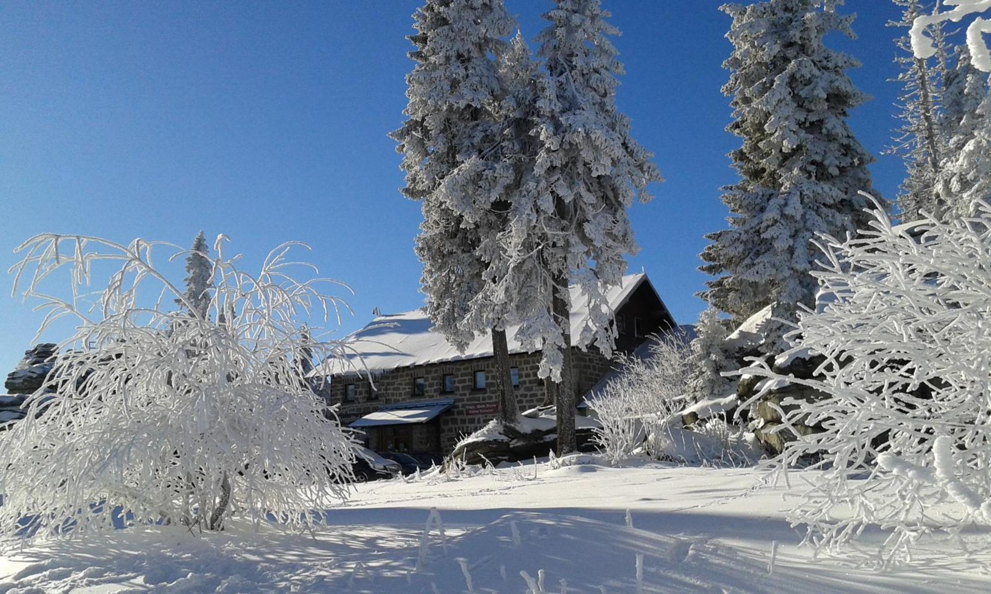 Ferienwohnung Bayerwaldblick Jandelsbrunn Extérieur photo